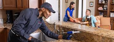 Best Real Estate Pest Inspections  in Creston, OH